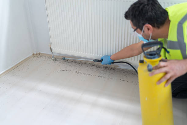 Best Pest Inspection Near Me  in Timberline Fernwood, AZ